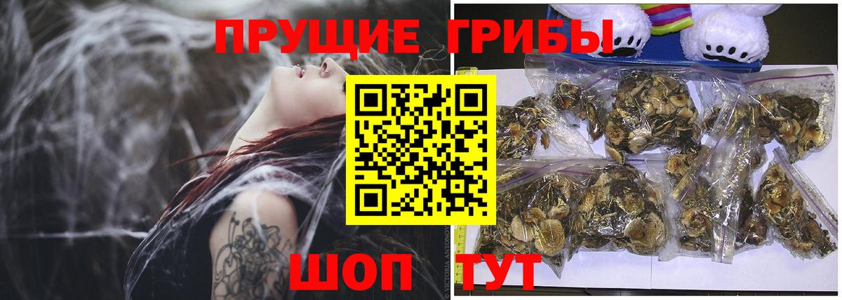 Псилоцибиновые грибы MAGIC MUSHROOMS  Вход с VPN  Псилоцибиновые грибы GOLDEN TEACHER  Краснокамск 